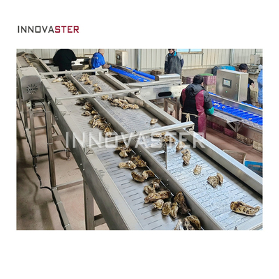 2500W Zeevruchten Vissen Garnalen Gewicht Sorteren Wassen Oester Sorteren Machine 6000x1250x1750mm