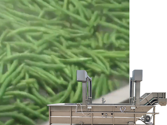 Waterrecycling SUS 304 Gantry Lift Tank Groenten- en Fruitwasmachine voor ontwerp