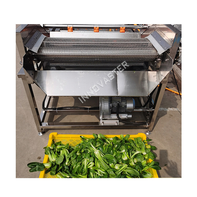Water recyclen Ozon blad citroen kruidenachtige appel wasmachine voor dranken distributeurs