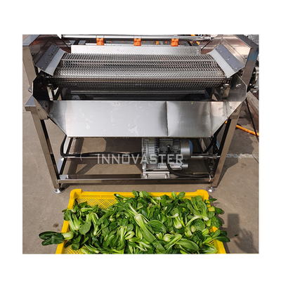 Gemakkelijk te bedienen Automatische groentenwasser Fruitwasser Peanut Bubble Reiniging Machine