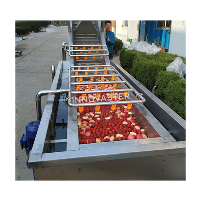 Geavanceerde industriële ozon borstel wortel groente fruit wasmachine met belletjes