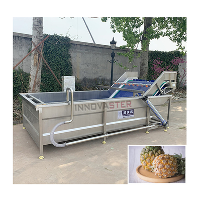 Technologie Tomato Fruit Washer Air Bubble Machine Groentenwasmachine voor het reinigen
