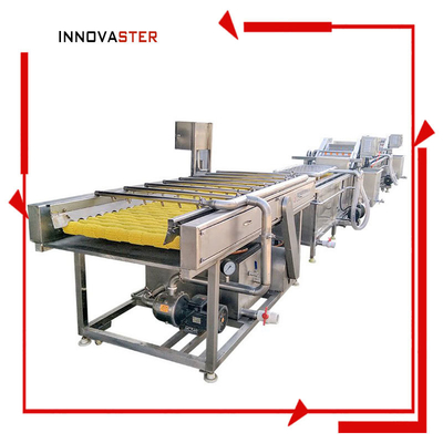 Makkelijke industriële aardappelreinigingsmachine voor het reinigen van groenten en fruit