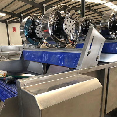 Makkelijk te bedienen Tunnel Food Air Dryer voor industriële groenten- en fruitverwerkingslijn