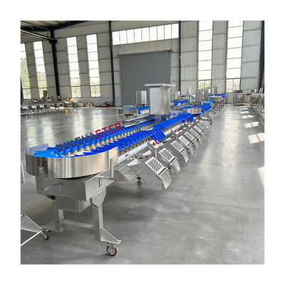 220V/380V Automatische vis-oester-groente-mango-avocado-gewichtsgrader voor de markt