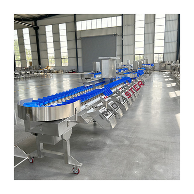 Voedingsmiddelenindustrieapparatuur 2500W Automatische gewichtsgraderingsmachine voor kippenpootpootjes