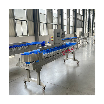 State-of-the-art Fruit Vegetable Sorting Grading Machine met 6000x1250x1750mm Grootte