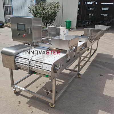 Meat Skewer Machine voor het strengen en verwerken 2000*730*1630mm Kip Satay Kebab