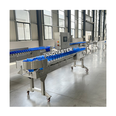 6000x1250x1750mm Zeevruchten Oester Vissen Gewichtssorteerder Sorteermachine voor apparatuur voor de voedingsindustrie