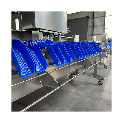 Meersorteerder Multifunctionele viscategoriseringsmachine voor nauwkeurig gewichtssorteren in de voedingsindustrie