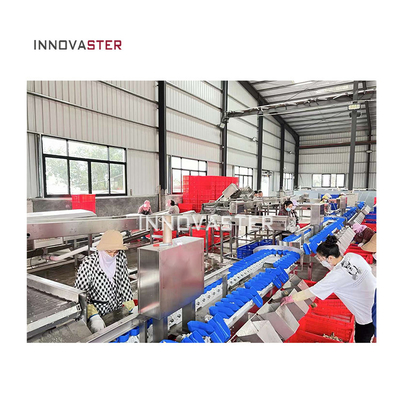Functie 500 kg pluimvee gewicht sorteermachine voor optimale fruit en groenten sorteermachine