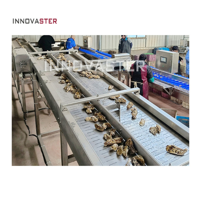 Multifunktioneel 2500W Oester schelpen zeekomkommersorteermachine