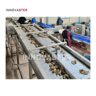 Industriële gewichtssorteermachine voor het sorteren van fruit Groenten Zeevruchten en oesters