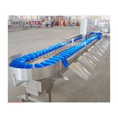 6000x1250x1750mm Zeevruchten Garnalen Kippenpotten Gewichtsgraderingsmachine voor de voedingsindustrie
