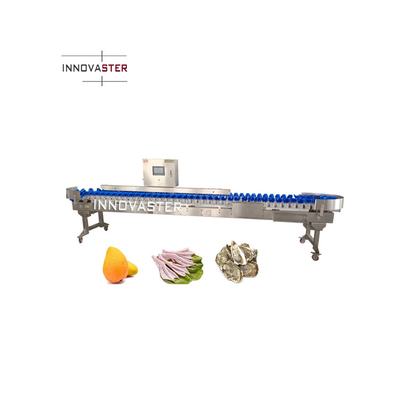 220V/380V Transportband Checkweigher Sorteringsmachine voor vis Garnalen Oester Zeevruchten