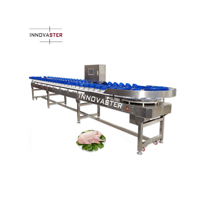 Spanning 220V/380V Vervoerband Kip vis oesters citroen zoete aardappel gewicht sorteermachine