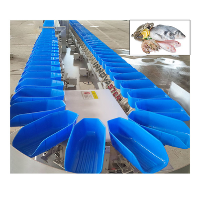 Functie Fruit Groenten Selectie Sorteren Sorting Machine met 304 roestvrij staal