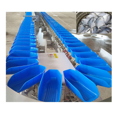 6000x1250x1750mm 304 roestvrij staal Intelligente sorteermachine voor wortelvisfilletten