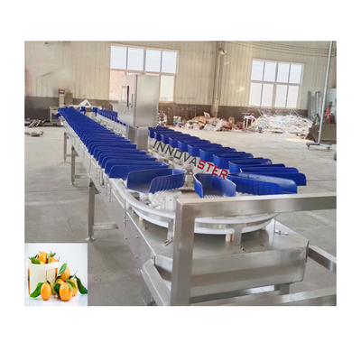 6000x1250x1750mm Hoog nauwkeurig Oranje Bevroren Zeevruchten Gewicht Sorteren Machine Prestaties