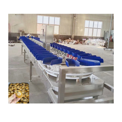 Voedingswinkel Check Weiger Oester Gewicht Sorteringsmachine Voor groenten en fruit 6000x1250x1750mm