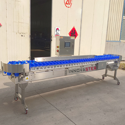 Voedingswinkel Check Weiger Oester Gewicht Sorteringsmachine Voor groenten en fruit 6000x1250x1750mm