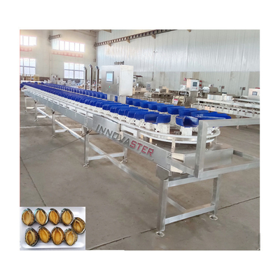 Vissorteermachine Tilapia-klasseermachine Anchovy-gewichtsklasseermachine Spanning 220V/380V
