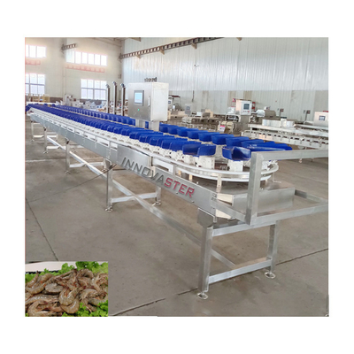 500 kg gewichtssorteermachine voor het sorteren van mango's in bevroren voedsel