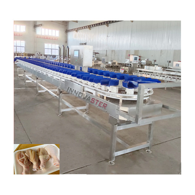 Commercieel gebruik Loadcell groente sorteermachine voor zeevruchten vis garnalen schelp schelp