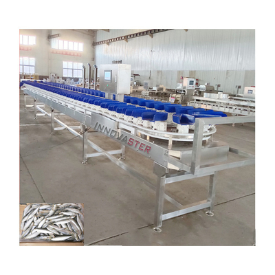 6000x1250x1750mm Bevroren kippenbeen/vleugel/abalon Weeg- en sorteermachine 500 kg