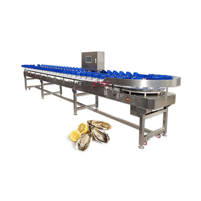 Selectie van groenten en fruit Sortering van kippen/runder/zeevruchten/vis en garnalen