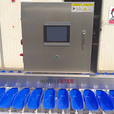 Selectie van groenten en fruit Sortering van kippen/runder/zeevruchten/vis en garnalen