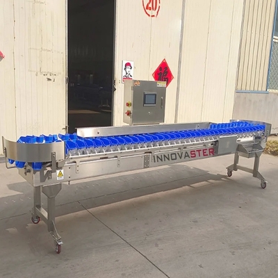 Selectie van groenten en fruit Sortering van kippen/runder/zeevruchten/vis en garnalen