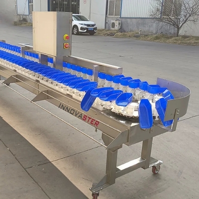 Selectie van groenten en fruit Sortering van kippen/runder/zeevruchten/vis en garnalen