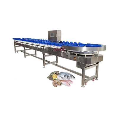 Voedingsmiddelenwinkel Transportbandtype Gewichtssortingsmachine voor groenten en fruit/vis/zeevruchten