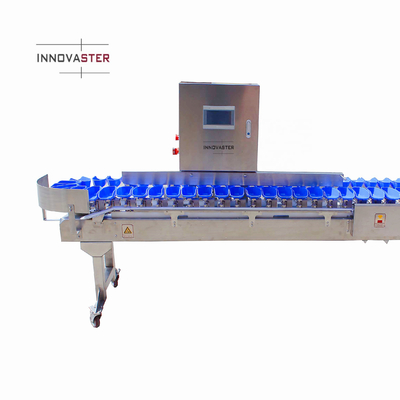 Stroomlijnen uw oester vis sorteren proces met Multi-Tray Weight Sortering Machine