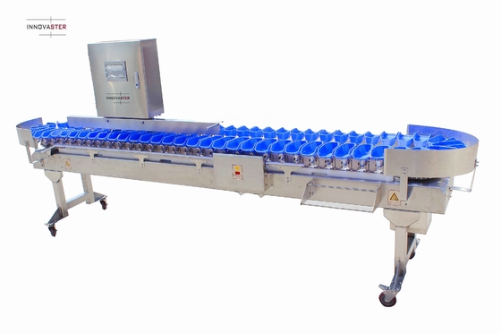 Stroomlijnen uw oester vis sorteren proces met Multi-Tray Weight Sortering Machine