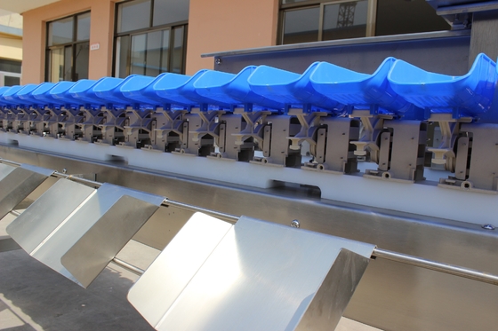 Stroomlijnen uw oester vis sorteren proces met Multi-Tray Weight Sortering Machine