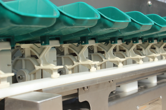 Stroomlijnen uw oester vis sorteren proces met Multi-Tray Weight Sortering Machine