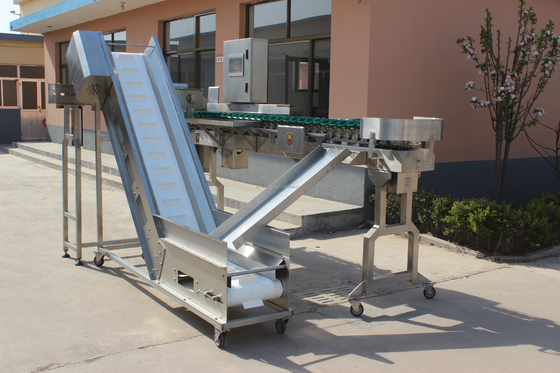 High Speed Multi-Tray Rotary Weight Oyster Fish Sorting Machine voor de vleesverwerking
