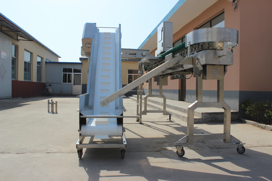 High Speed Multi-Tray Rotary Weight Oyster Fish Sorting Machine voor de vleesverwerking