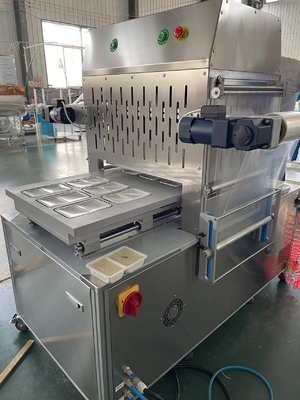 Voedingsmiddelen 410*320*290mm Gewijzigde atmosfeer Vacuümdoos RTE Voedselverpakkingsmachine