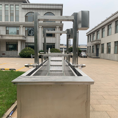 Automatische voorkookmachine voor groente- en fruitblancheren van roestvrij staal